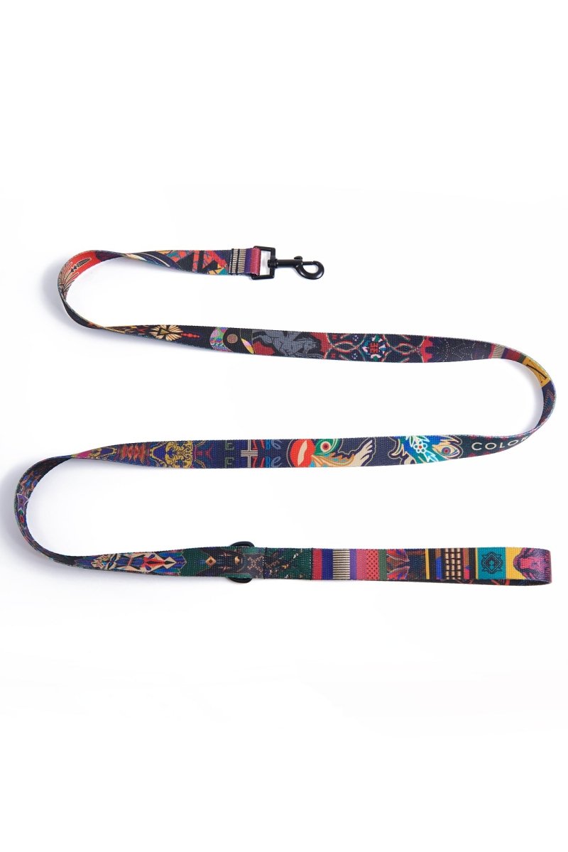City Leash X